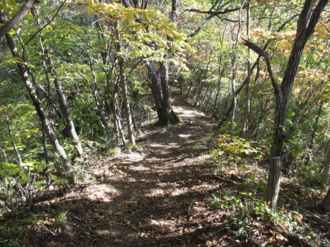 20161104hike (123)